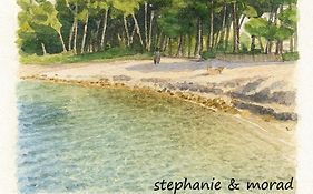 Studio Comète - Echappée douce à Saint Mandrier